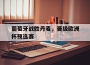 问鼎下载-葡萄牙战胜丹麦，晋级欧洲杯预选赛