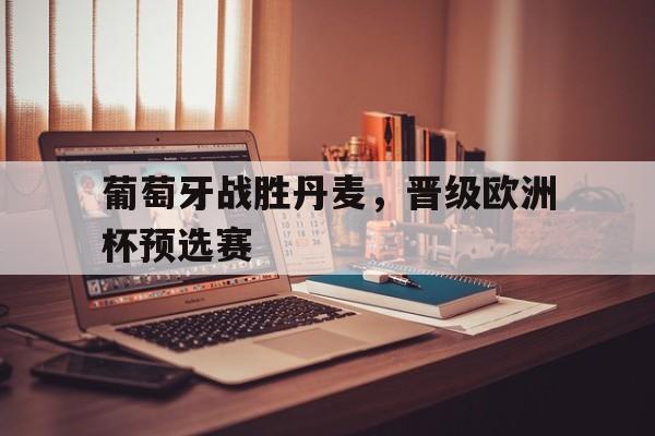 葡萄牙战胜丹麦，晋级欧洲杯预选赛